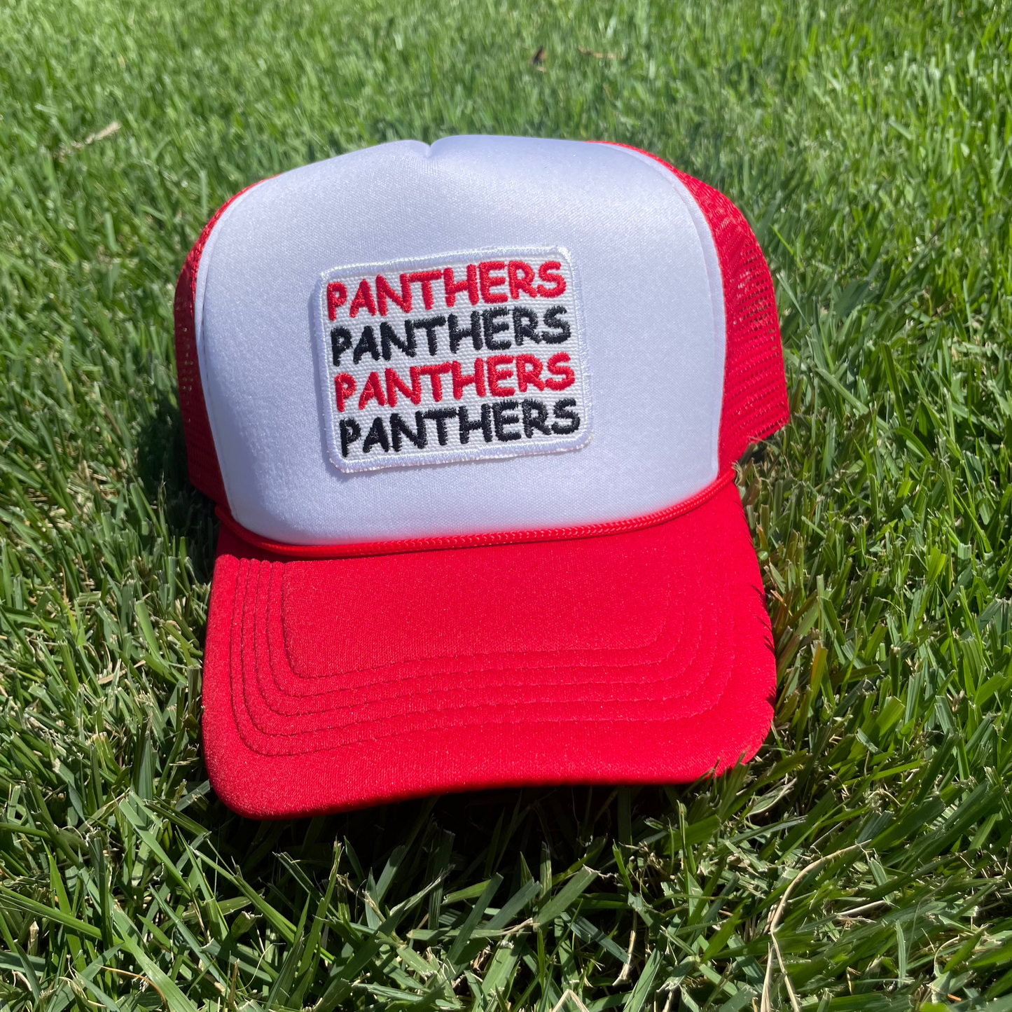 Trucker Hat | Panthers