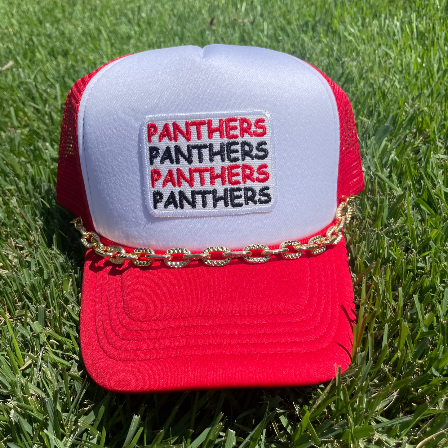 Trucker Hat | Panthers