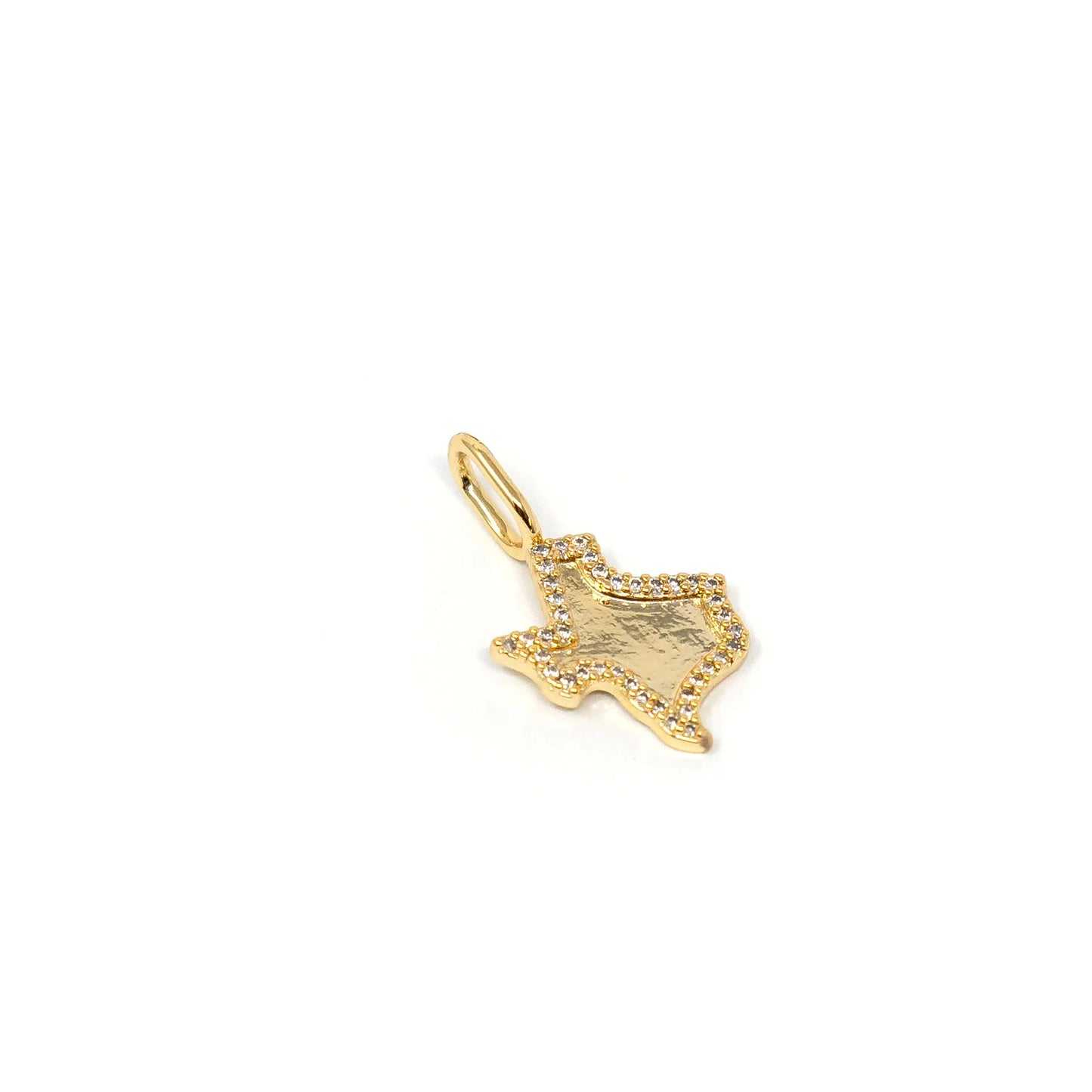 PANTHERS Charm (PRE-SALE)