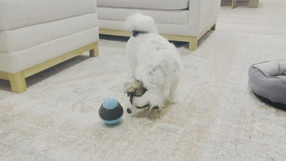 Interactive Dog Toy